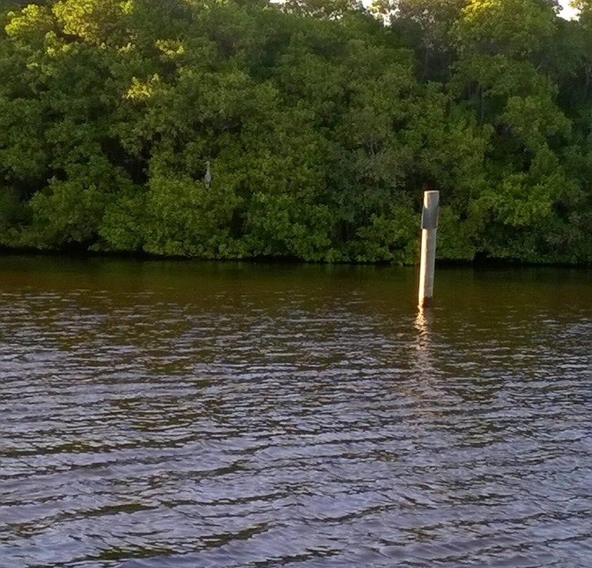 Royal Palm Pointe Park-维罗海滩必去景点