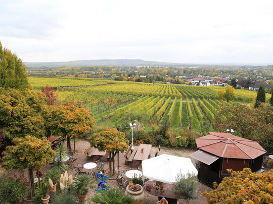 Inn Magdalenenhof主图