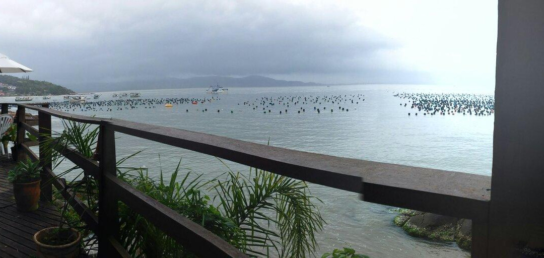 Pousada Baia das Bromelias主图