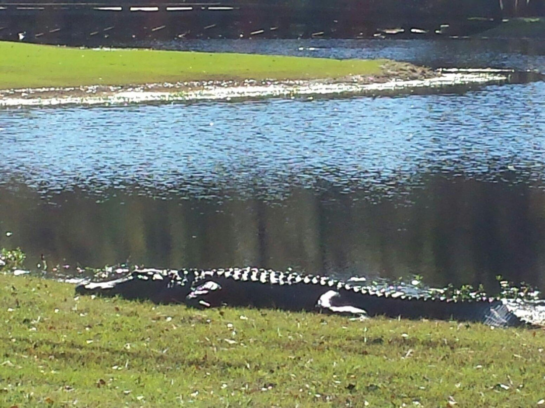 The Witch-Conway必去景点