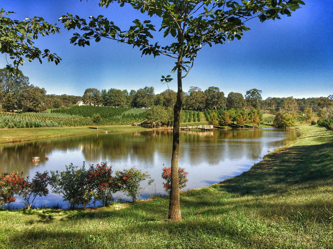 Kinsey Family Farm-盖恩斯维尔必去景点