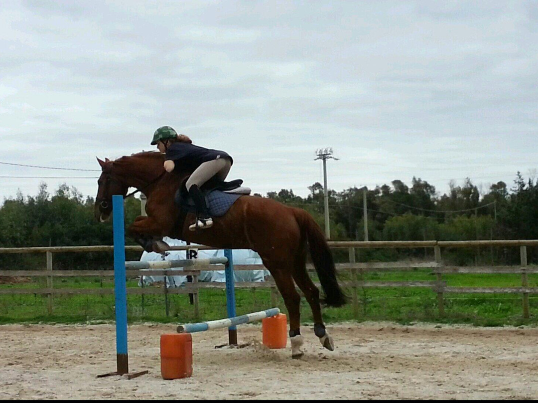 Agripark-阿尔盖罗必去景点