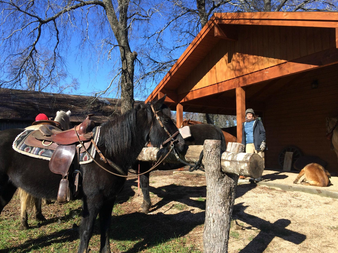 Corral del Sauce-维多利亚必去景点