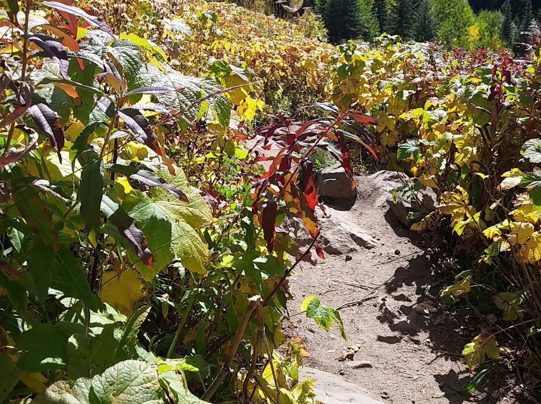 Booth Falls-韦尔必去景点