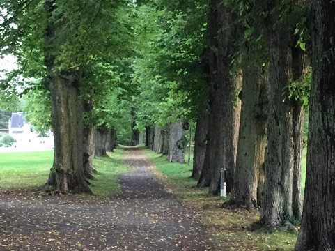 Nordre Skoyen Manor-奥斯陆必去景点