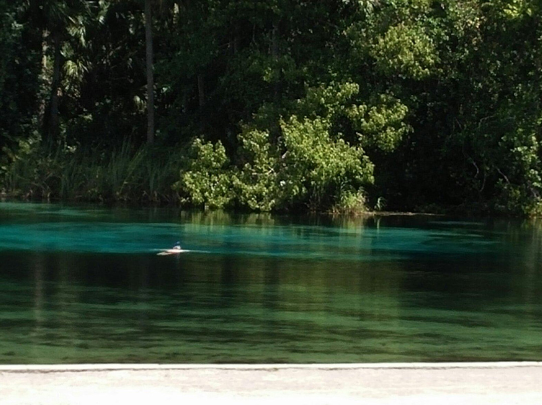 Alexander Springs-Altoona必去景点