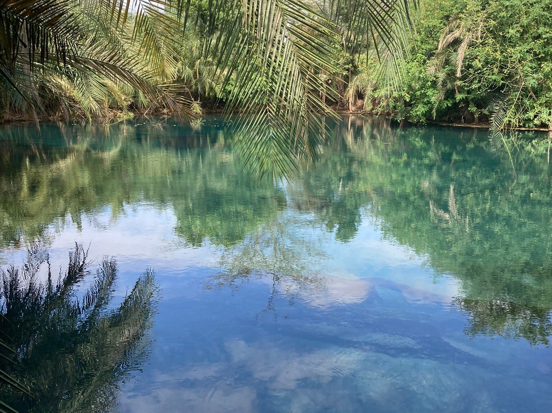 Kikuletwa Hot Springs