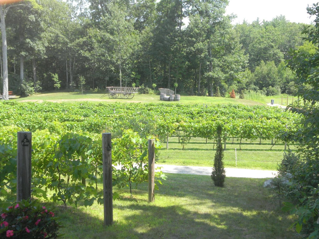 Zorvino Vineyards景点图片