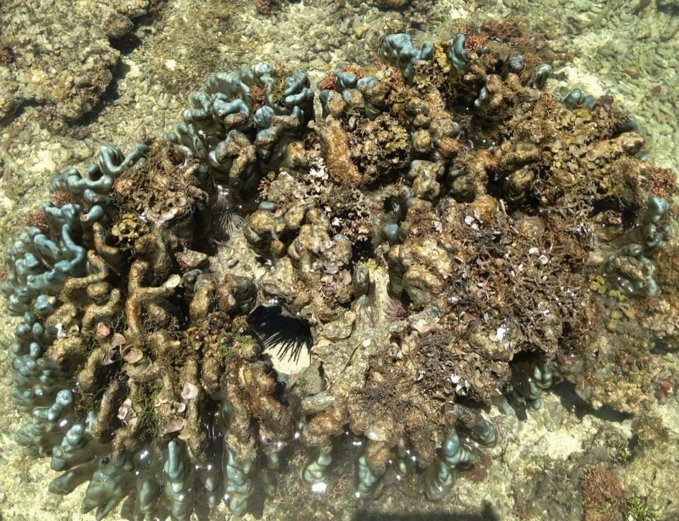 Gab Gab Beach-Santa Rita必去景点