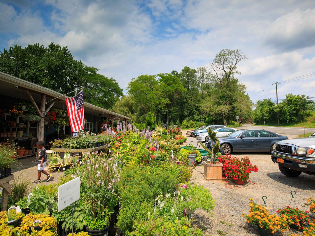 Harvest Moon Farm & Orchard-North Salem必去景点