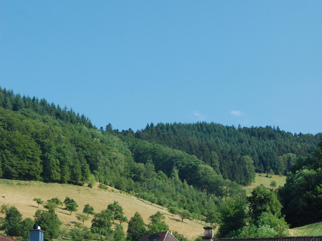 Muehlenbach酒店住宿-赫彻思贝格兰德酒店