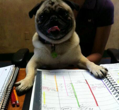 The Strong House Spa-Quechee必去景点