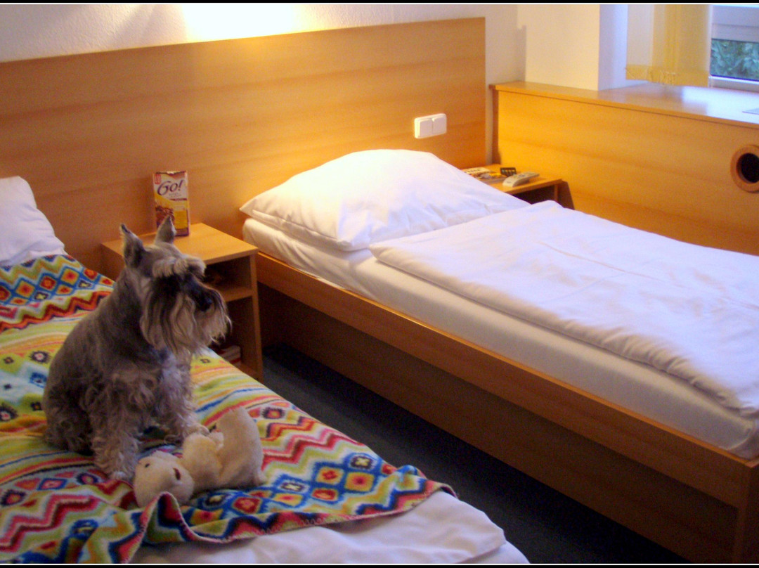Hotel O.K. 1主图
