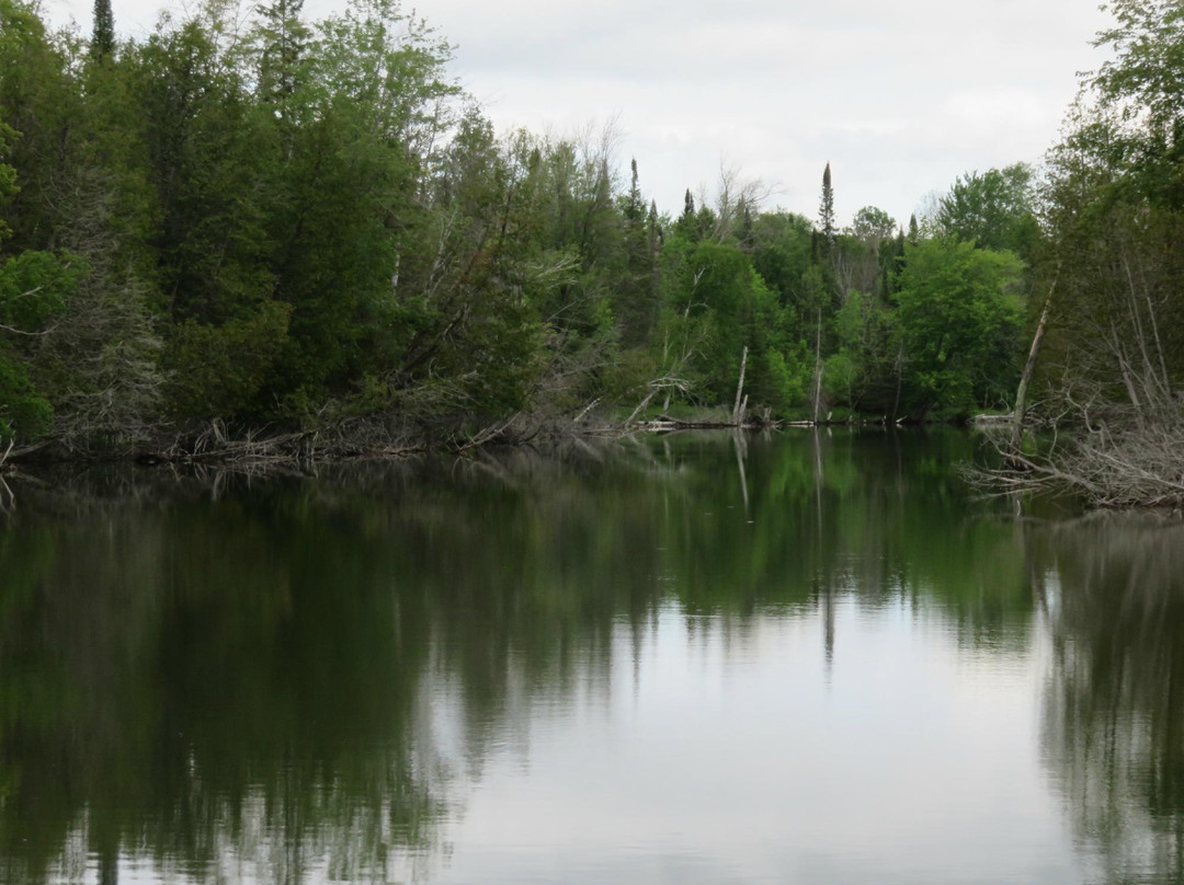Riverboat Tours-Alanson必去景点
