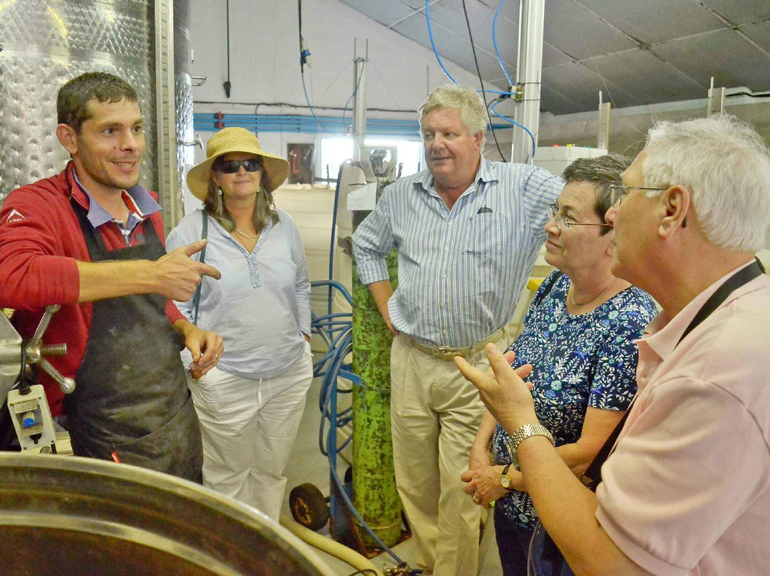 Adamastor & Bacchus - Tours-开普敦中心区必去景点