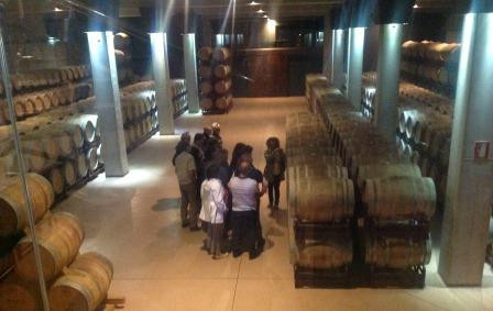 Uvas y Vino-Aldeanueva de Ebro必去景点