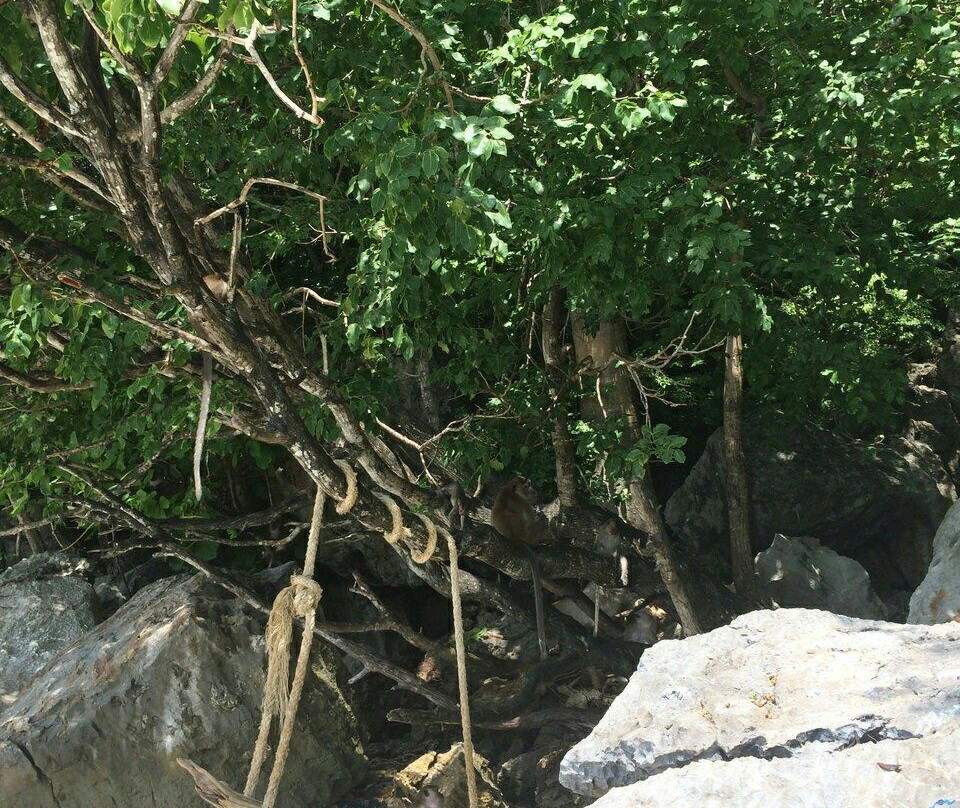 猴子沙滩-大皮皮岛必去景点