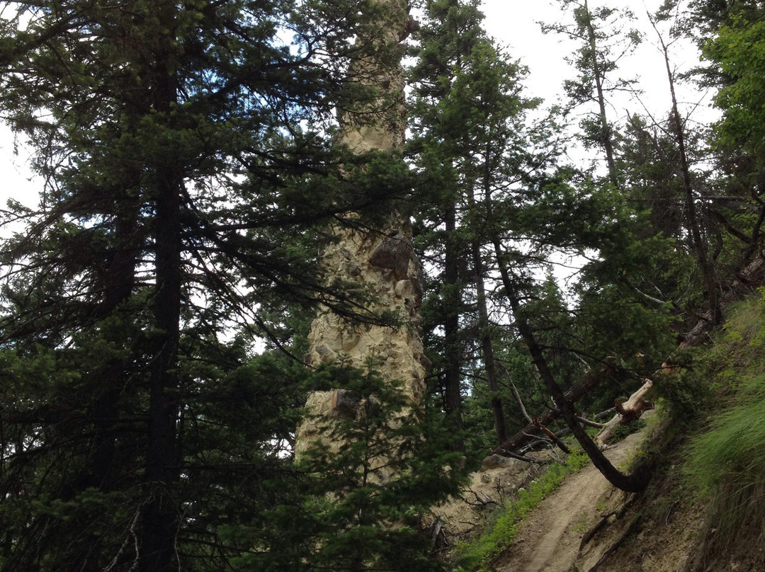 Pillar Provincial Park-Falkland必去景点