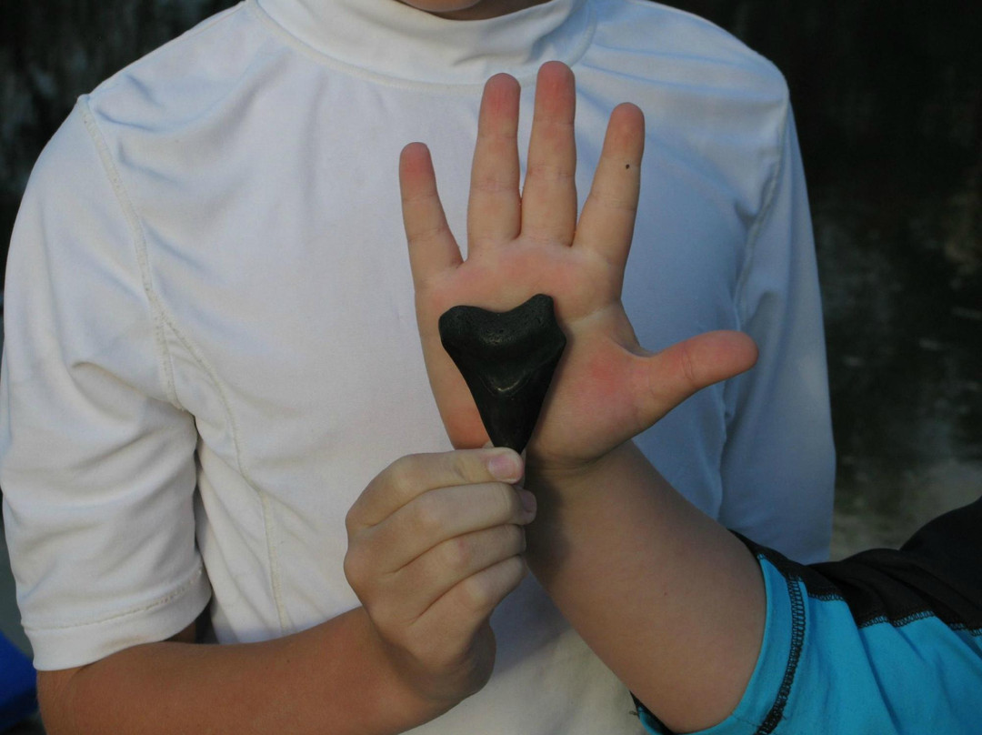 Peace River Paddle Sports & Kuleana Adventures - Day Trips-Wauchula必去景点