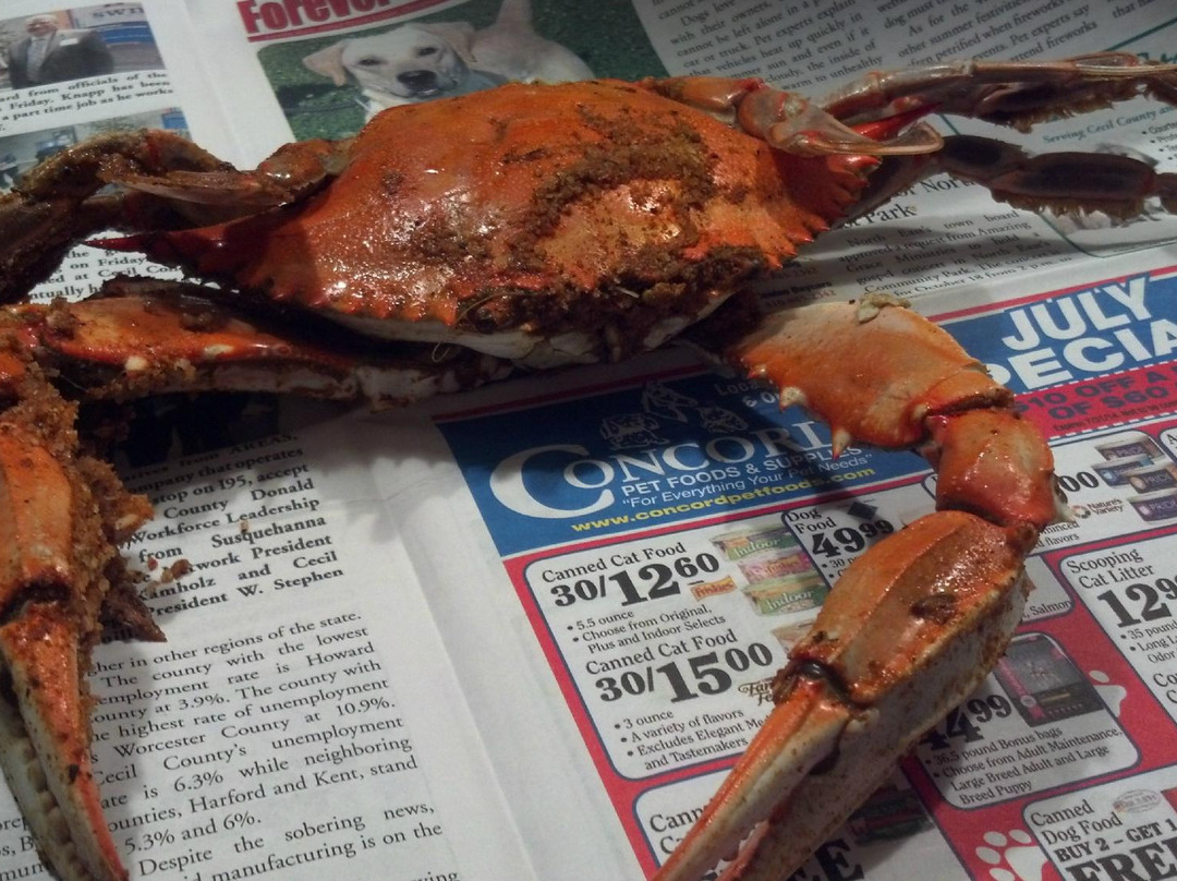 Chesapeake City餐馆和美食-M/V Bay Breeze