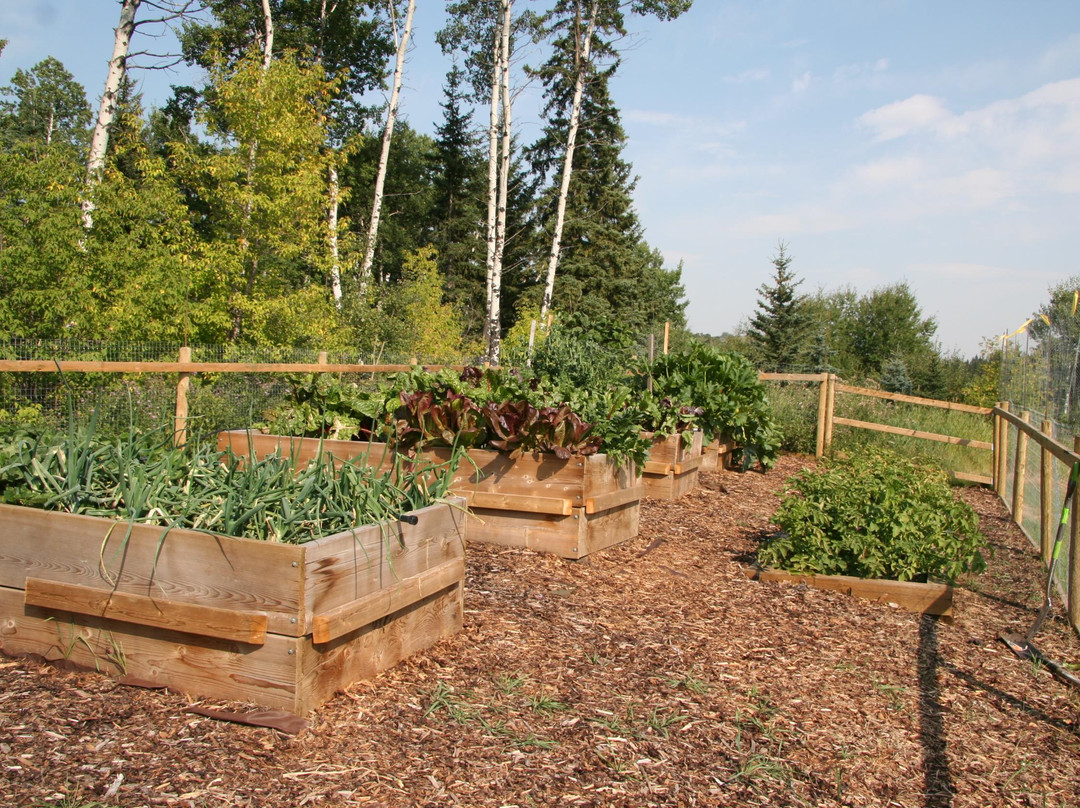 Windflower Bed & Breakfast主图