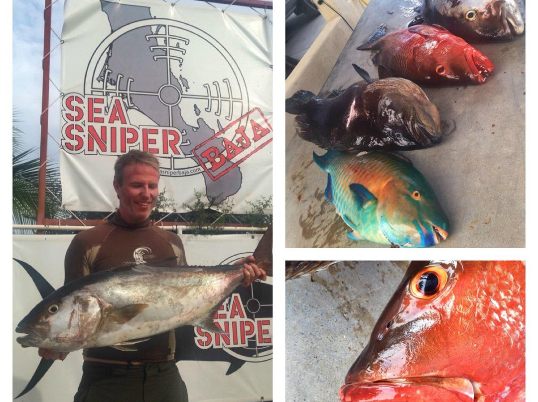 Sea Sniper Baja-El Sargento必去景点