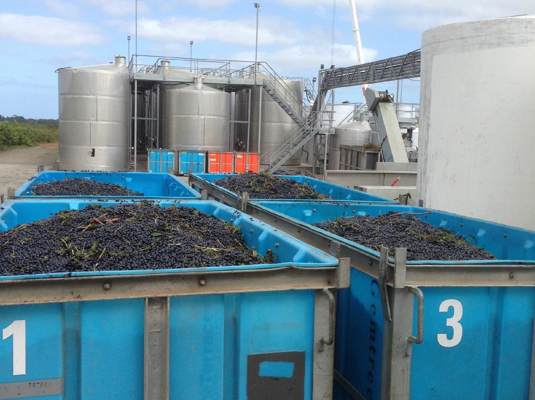 Kangarilla Road Winery景点图片