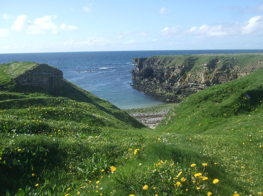 About Orkney