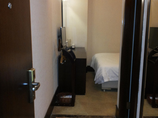 东辰大酒店主图