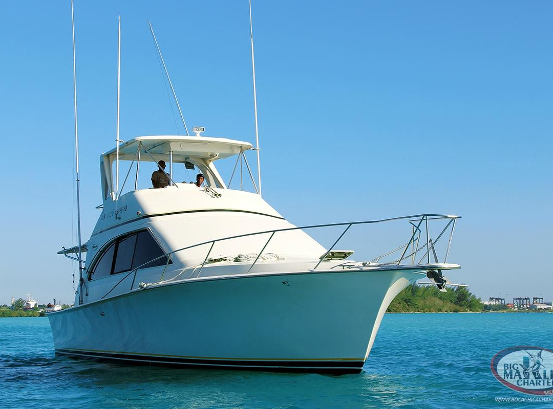 Big Marlin Charters Boca Chica-博卡奇卡必去景点
