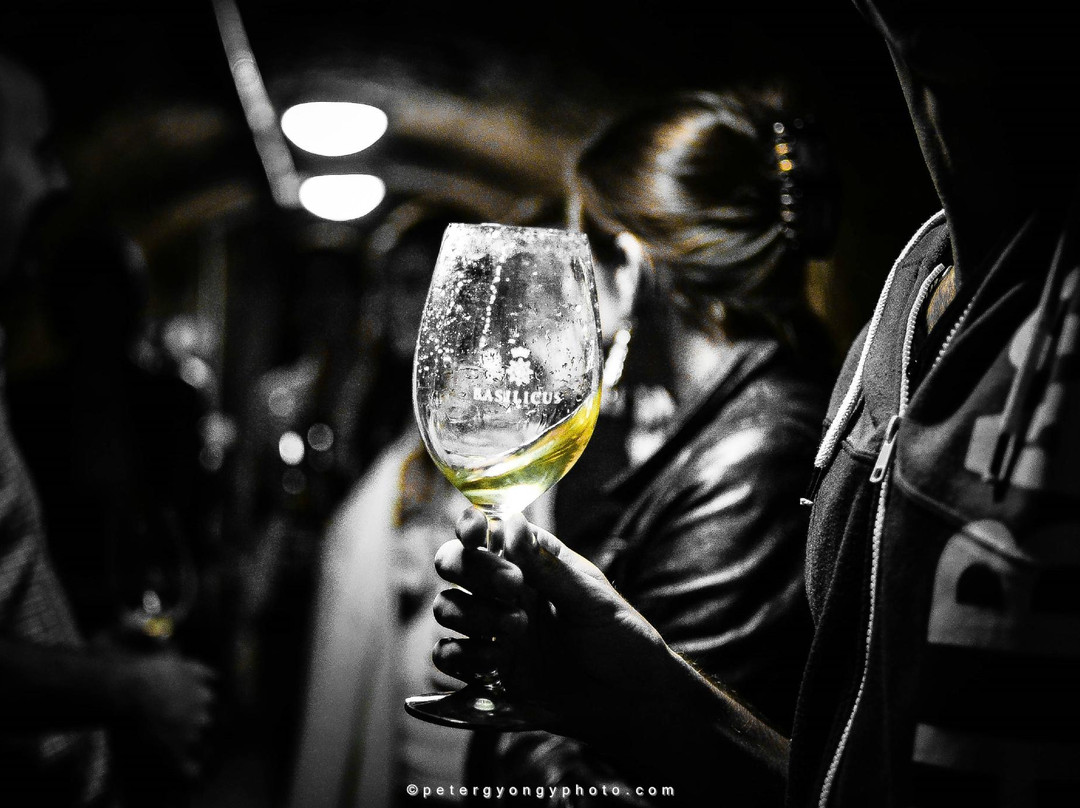 Basilicus Wine Culture Center景点图片