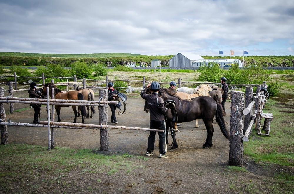 Active North-胡萨维克必去景点