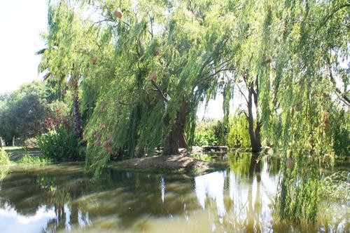 Klein Waterkloof B&B主图