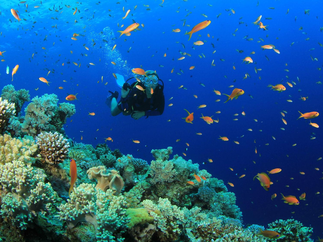 Alcoy Fun Divers-Alcoy必去景点