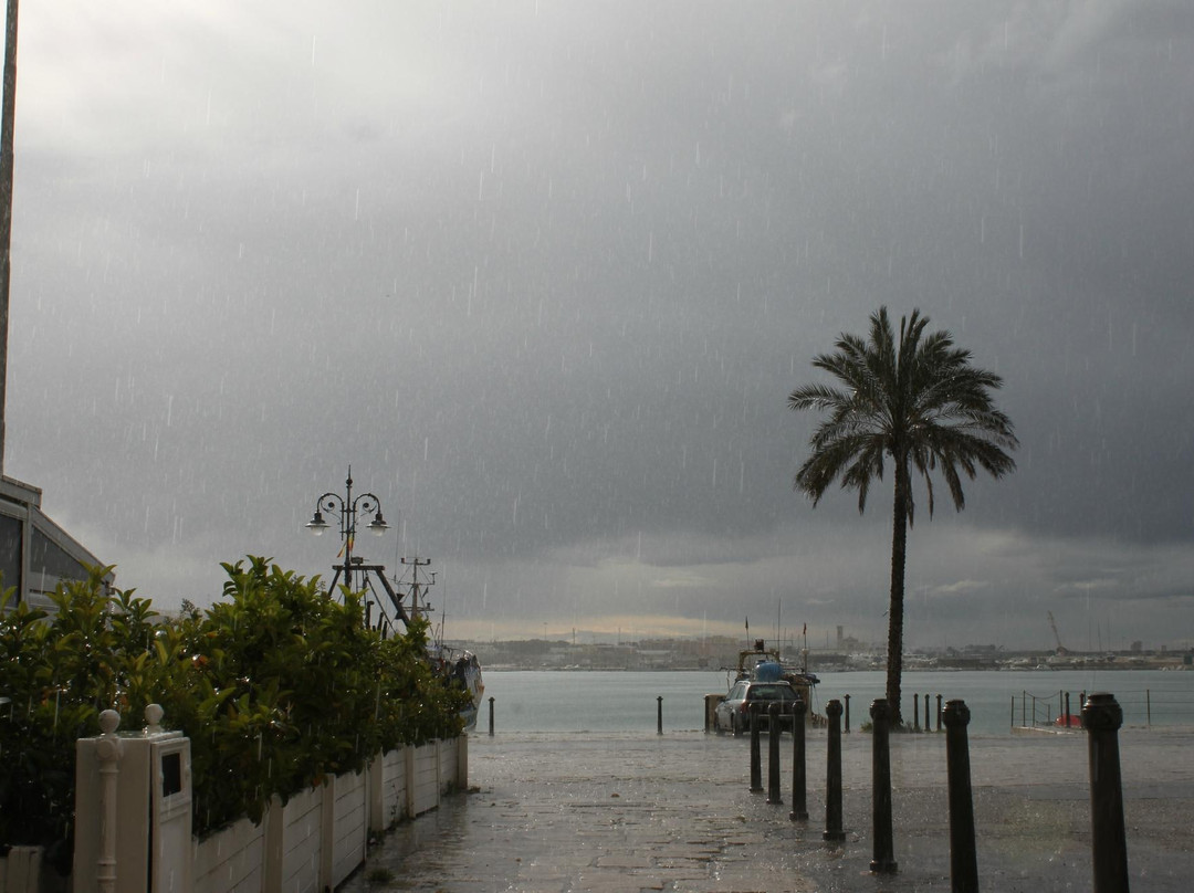 Molfetta Town-莫尔费塔必去景点