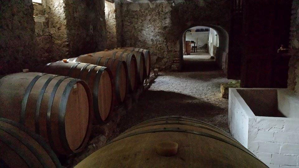 Ruta de Microvina del Celler la Muntanya景点图片