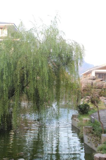 九曲度假酒店-浴室