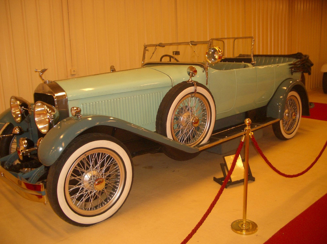 Museo de Coches Clasicos y Antiguos Torre Loizaga景点图片