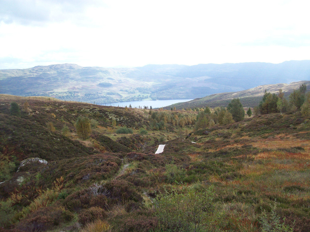 Ben Lawers National Nature Reserve-Killin必去景点