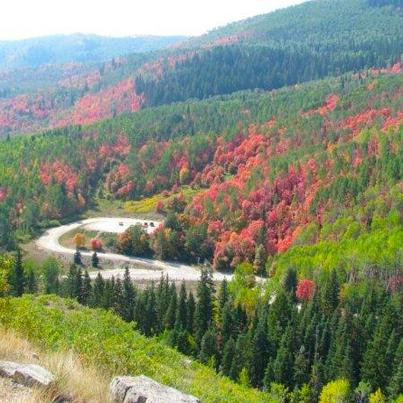 希伯城旅游攻略图片