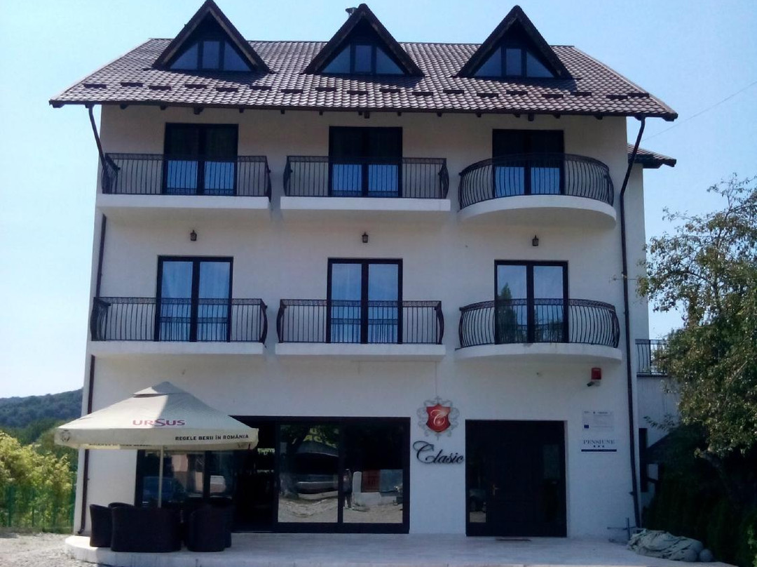 Pensiunea Clasic主图