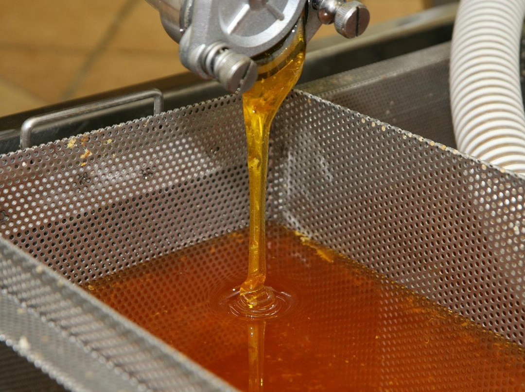 Apicoltura Coppari-Chiaravalle必去景点