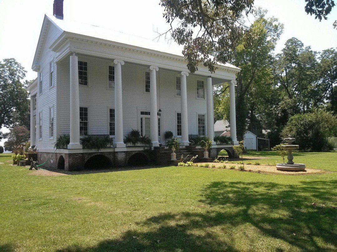 Athol Plantation主图