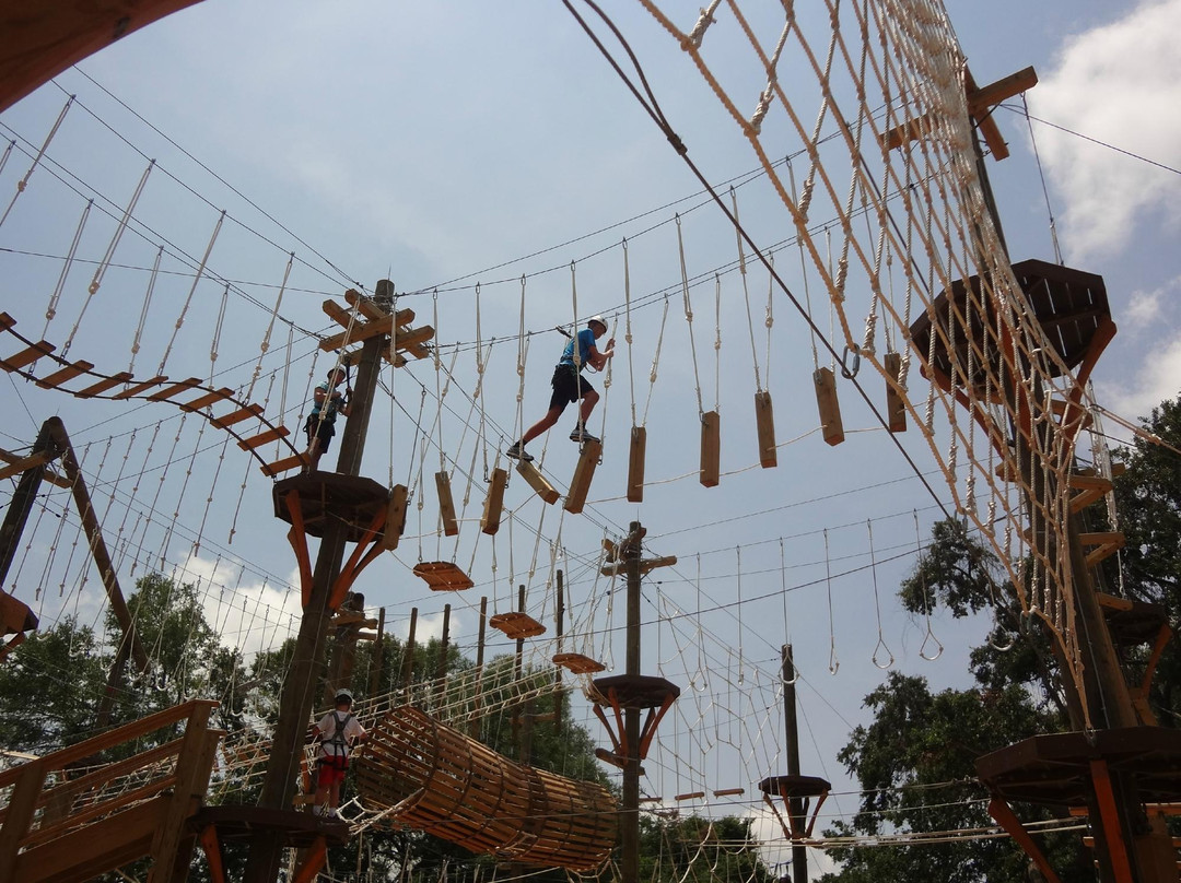 Wild Blue Ropes Adventure Park景点图片
