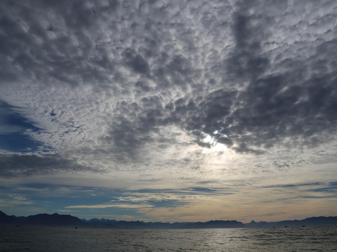 Rodgers Fishing Lodge景点图片