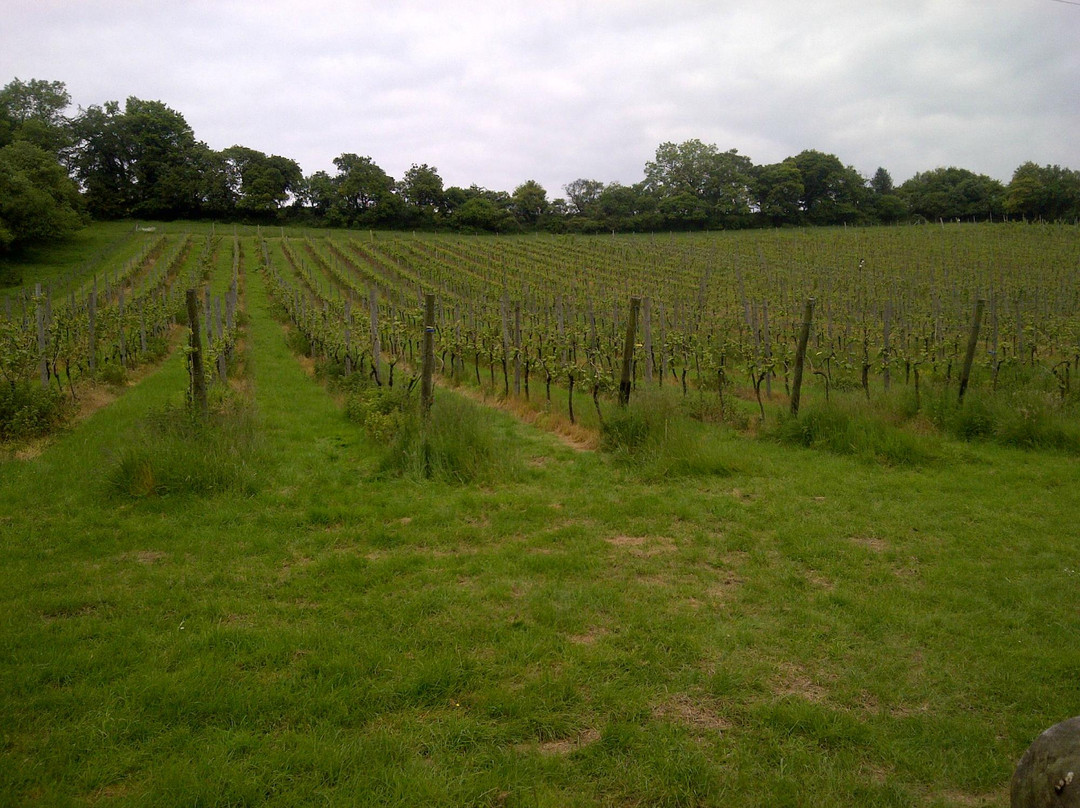 Daws Hill Vineyard景点图片