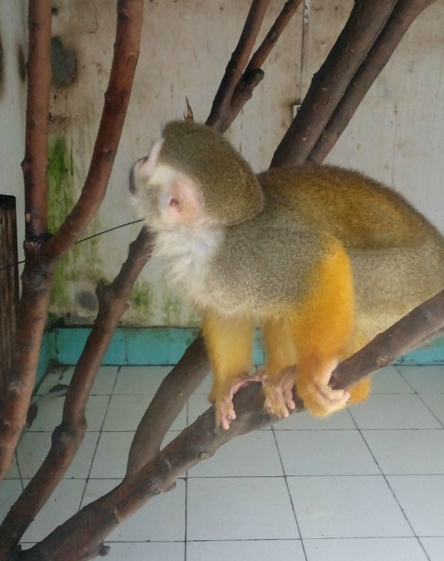 潍坊金宝乐园-潍坊市必去景点