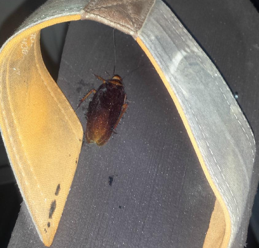 Beach Suites Resort主图