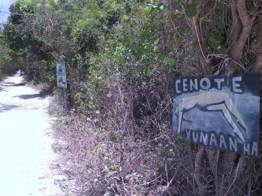 Cenote Xunaan-Ha景点图片