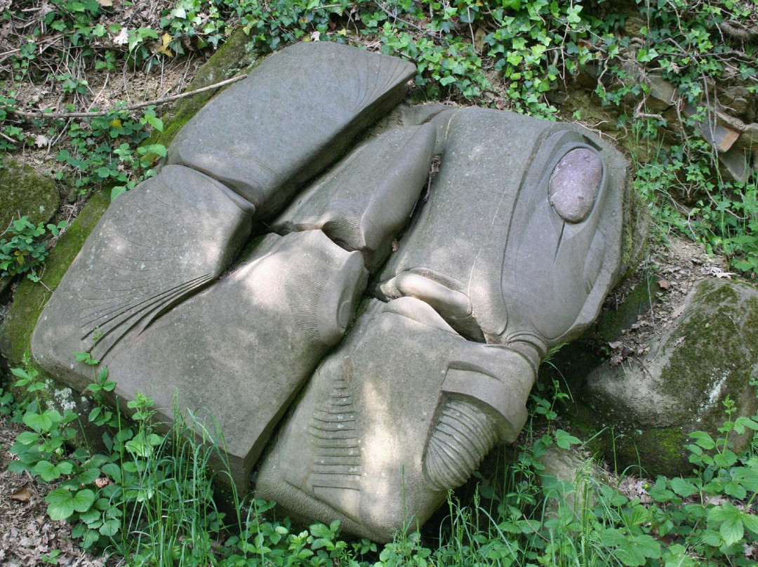 Parco dei Colli di Bergamo景点图片